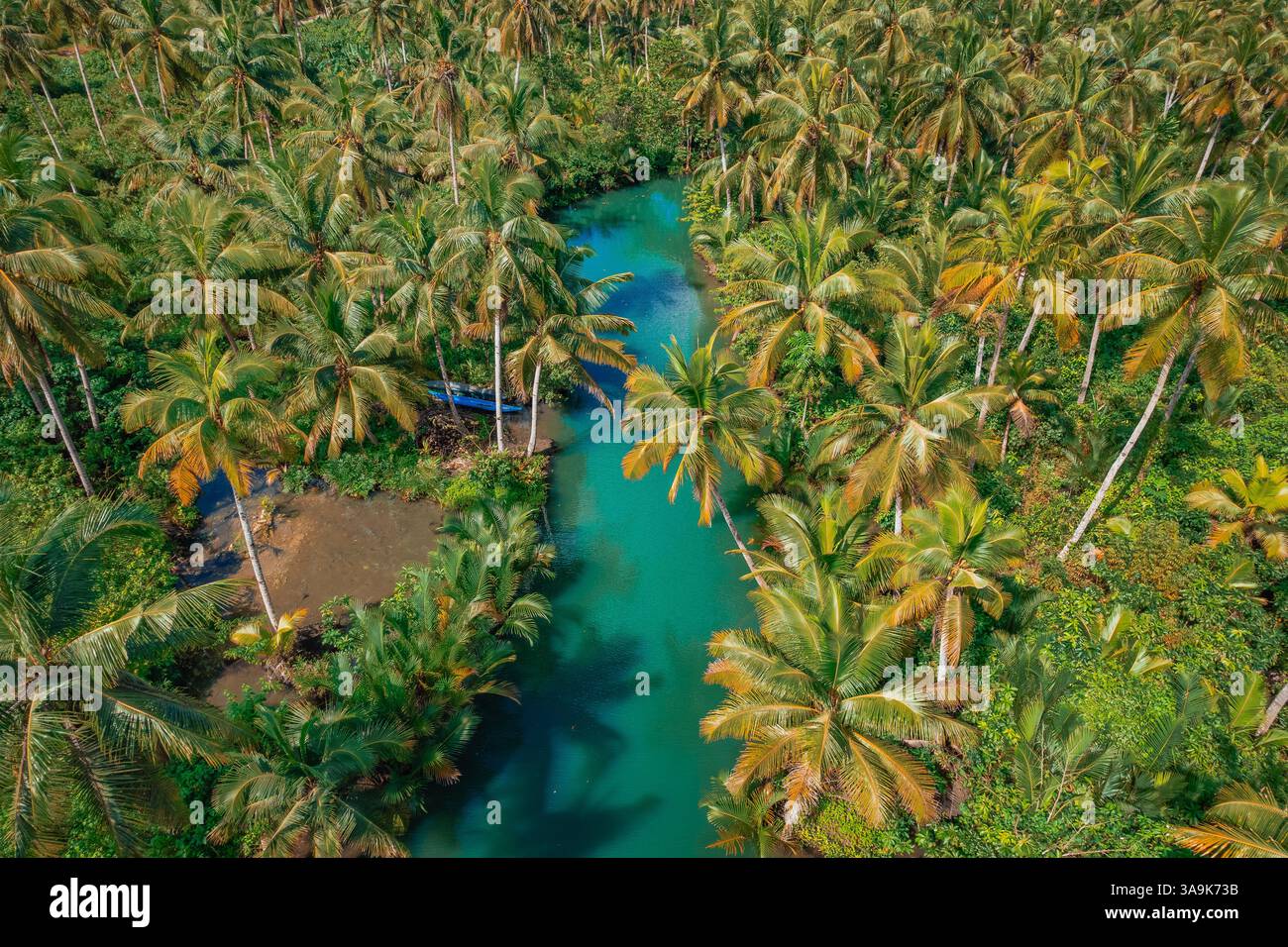 Malerische Bootstour auf dem Maasin River in Siargao – Eine ruhige Reise durch üppiges, von Palmen gesäumtes Wasser mit der berühmten Bent Palm Tree und dem atemberaubenden tropischen S Stockfoto