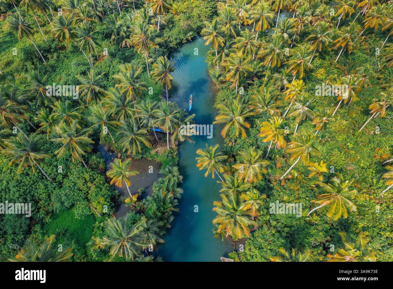 Malerische Bootstour auf dem Maasin River in Siargao – Eine ruhige Reise durch üppiges, von Palmen gesäumtes Wasser mit der berühmten Bent Palm Tree und dem atemberaubenden tropischen S Stockfoto