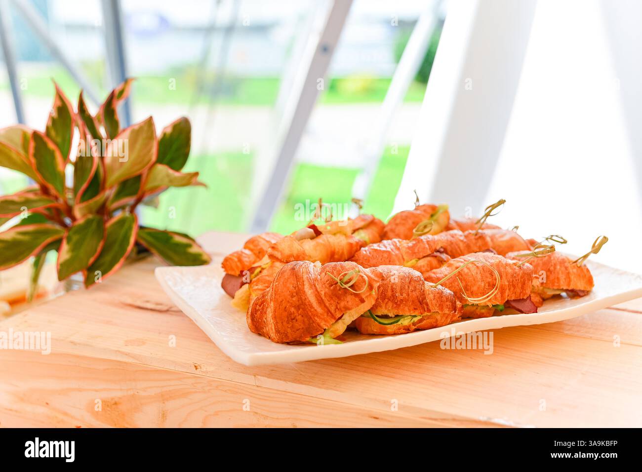 Tablett mit Mini-Croissant-Sandwiches mit Schinken, Salat und Käse, serviert auf einem weißen Teller in einem hellen Innenbereich. Stockfoto