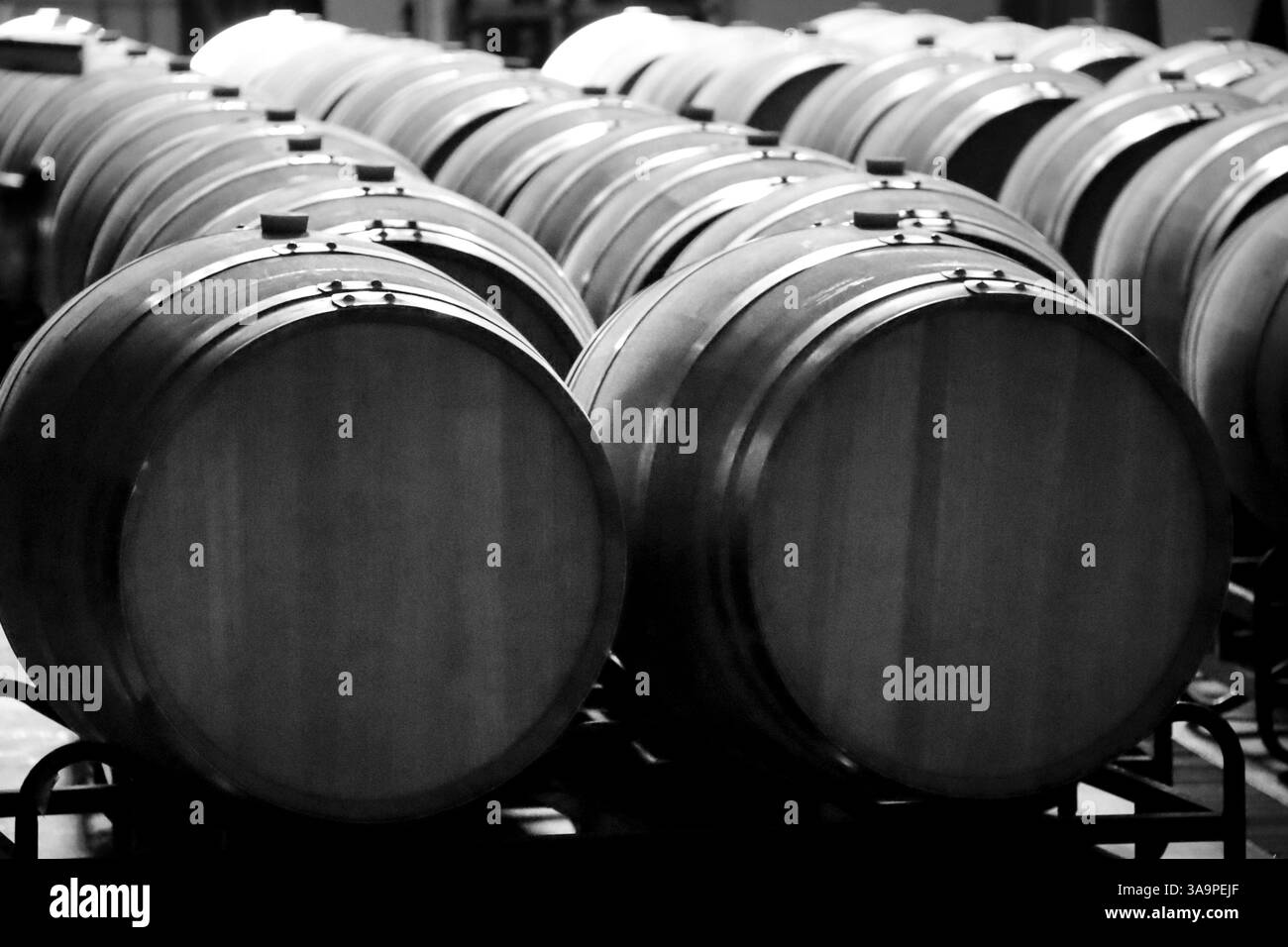 Eichenfässer in einem spanischen Keller in der Region Castilla la Mancha Stockfoto