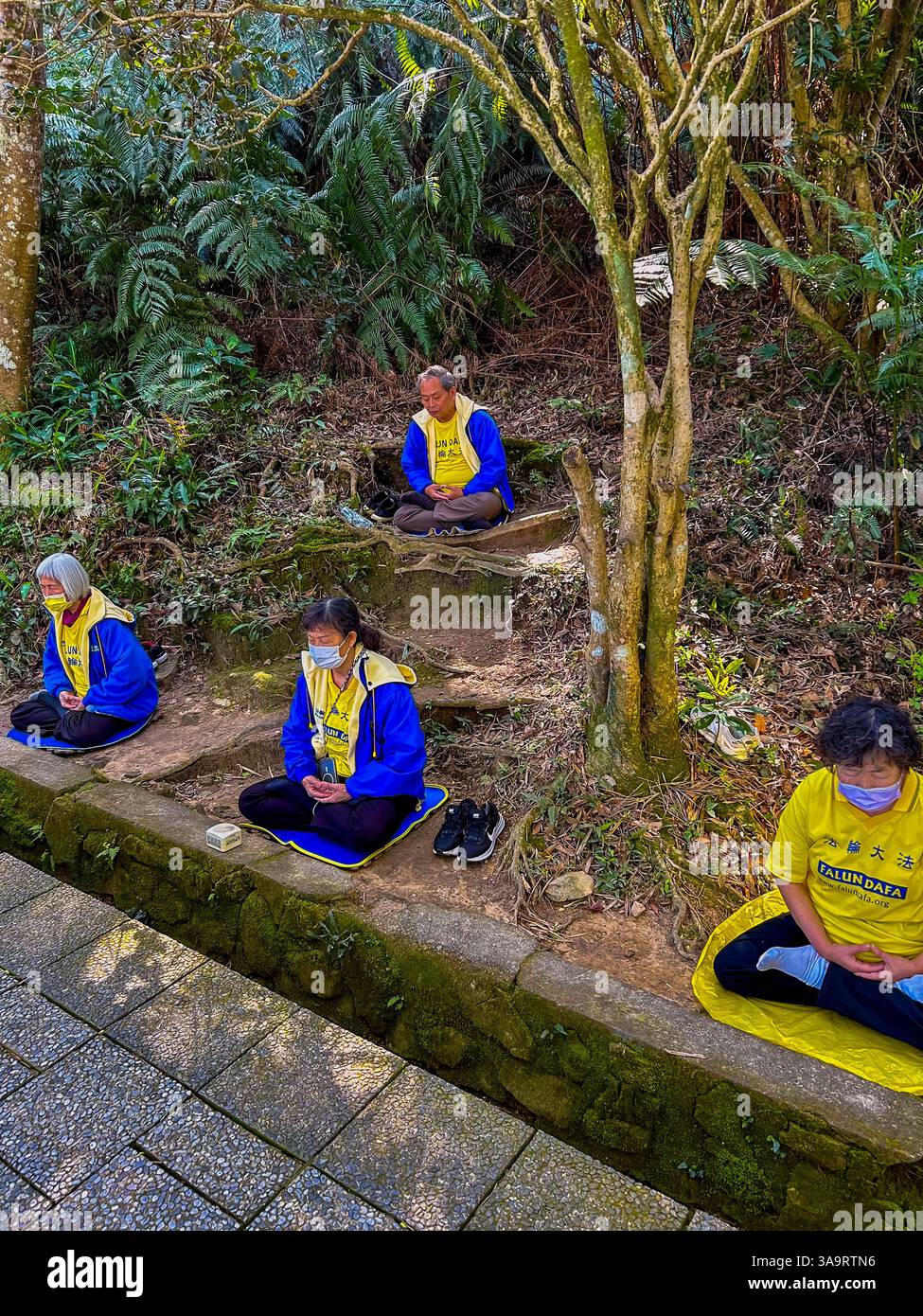 Yuchi, Taiwan, Sun Moon Lake, Group People, Asian Religious Cult, Meditation, Falun Gong-Mitglieder, taiwanesischer buddhistischer Tempel, im Wald Stockfoto