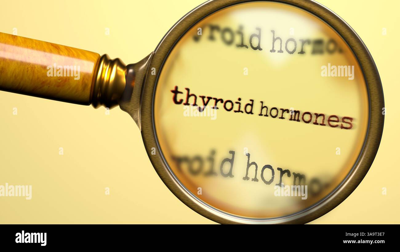 Schilddrüsenhormone unter Lupe. Gründliche Analyse und Inspektion von Schilddrüsenhormonen. Ein genauerer Blick auf Schilddrüsenhormone. Untersuchung o Stockfoto