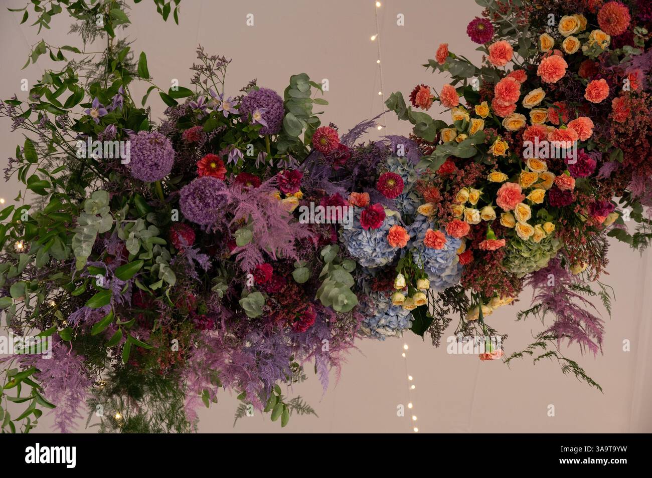 Ein hängendes Blumenarrangement mit lebhaften Farben und üppigem Grün Stockfoto