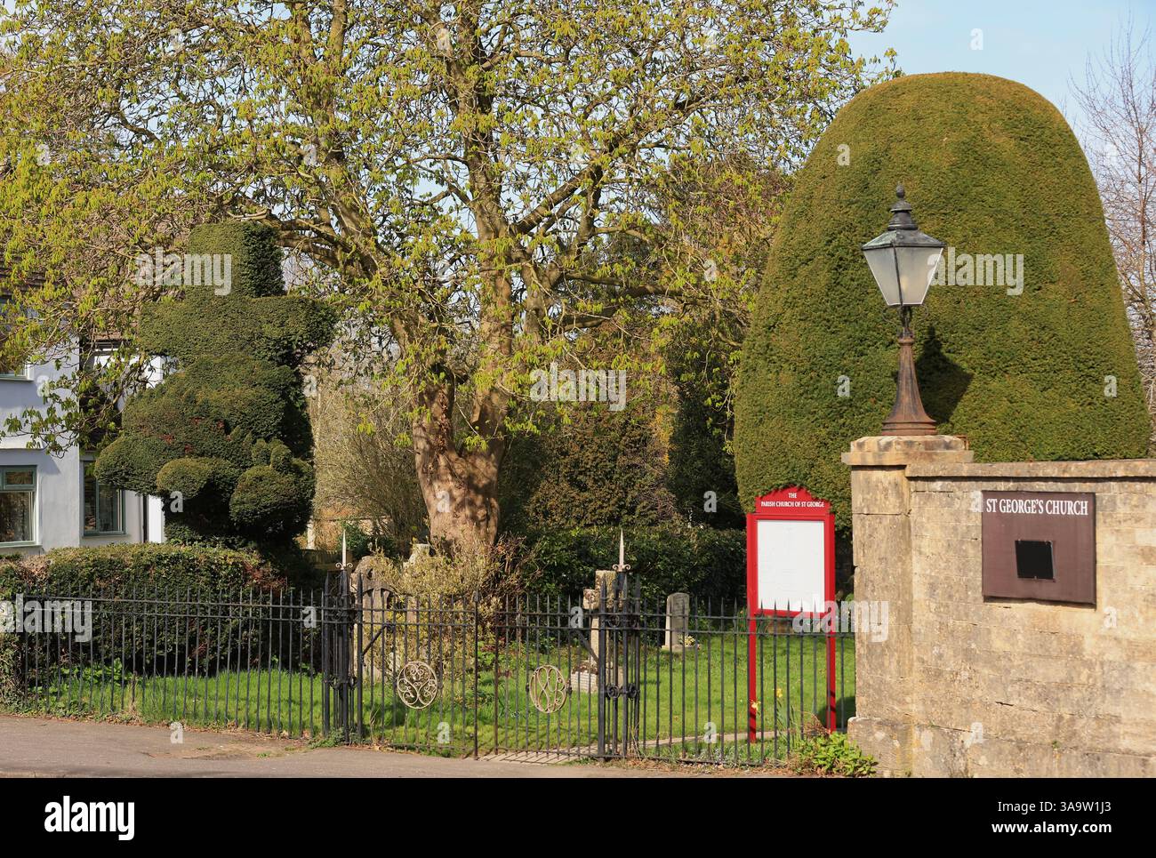 St Georges Churchyard Topiary Dragon, König Stanley, Stroud Gloucestershire April 2025 Stockfoto
