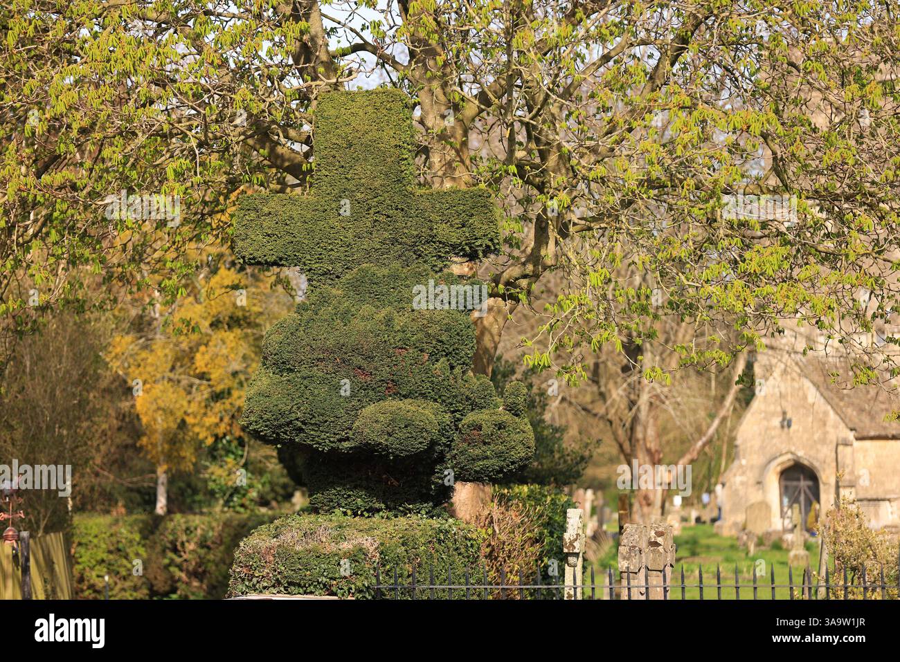 St Georges Churchyard Topiary Dragon, König Stanley, Stroud Gloucestershire April 2025 Stockfoto
