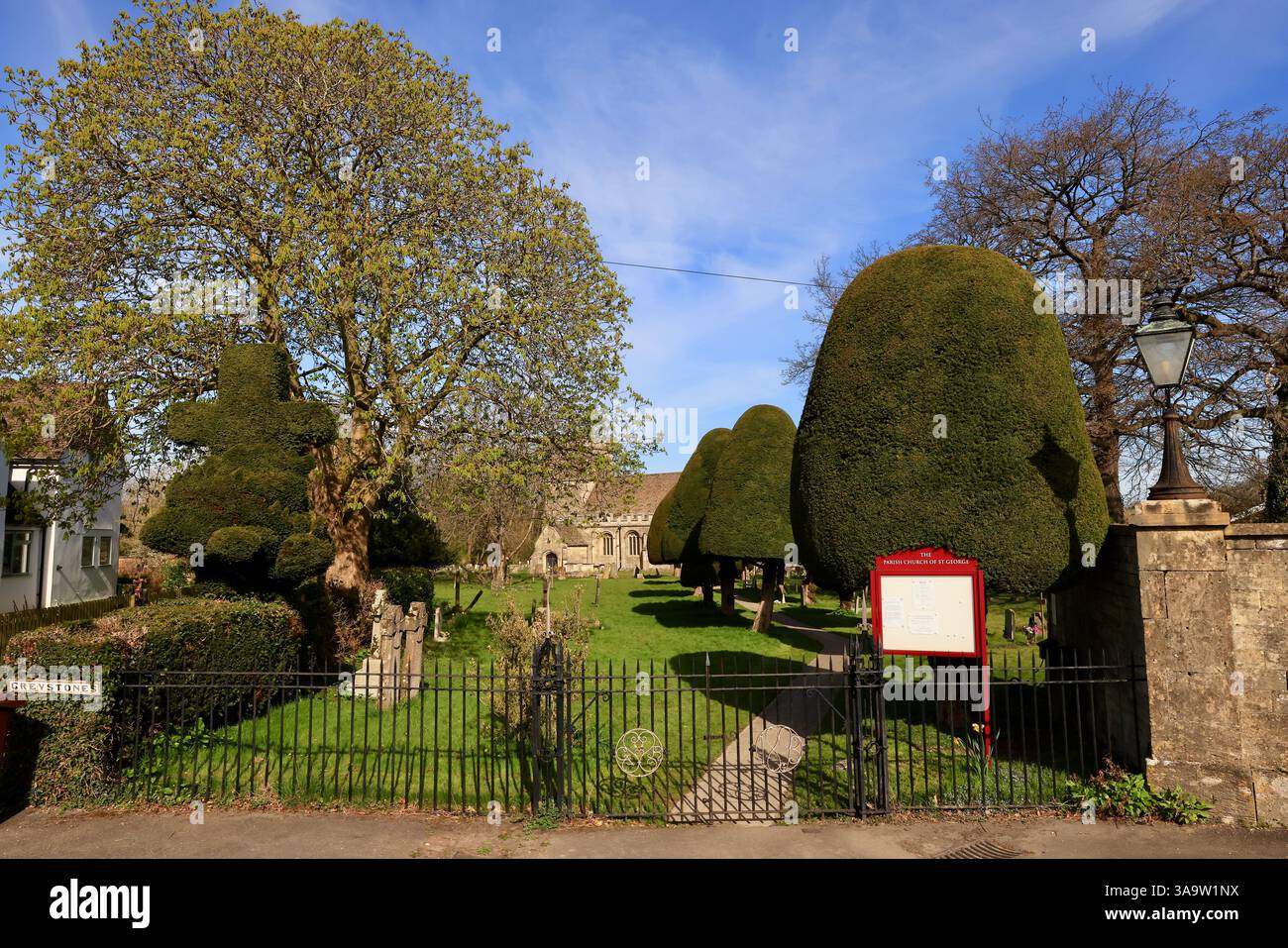 St Georges Churchyard Topiary Dragon, König Stanley, Stroud Gloucestershire April 2025 Stockfoto