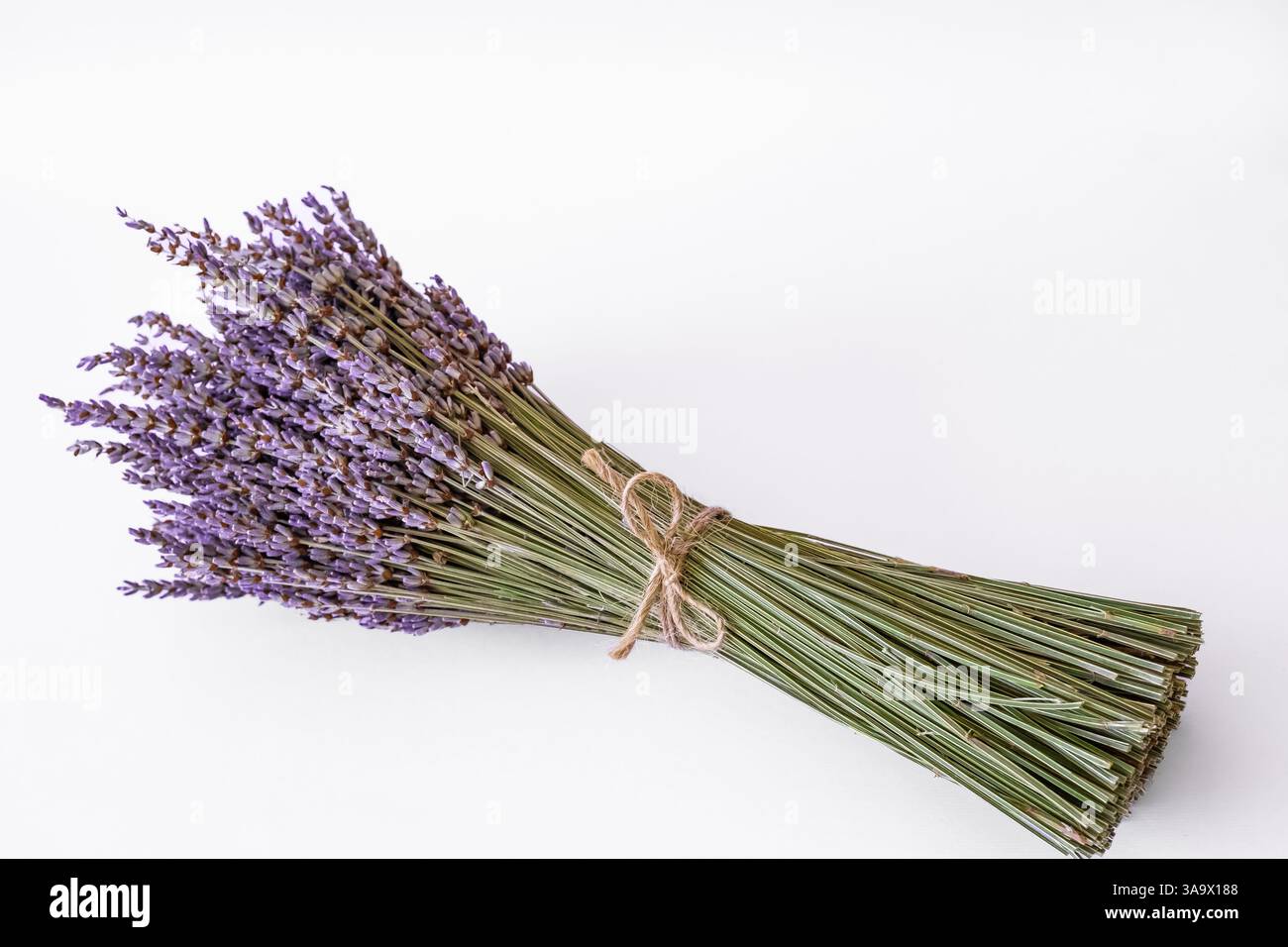 Lavandula angustifolia ein Bündel trockener Blumen. Ein paar Lavendel isoliert auf weißem Hintergrund, Nahaufnahme, Kopierraum für Text. Stockfoto