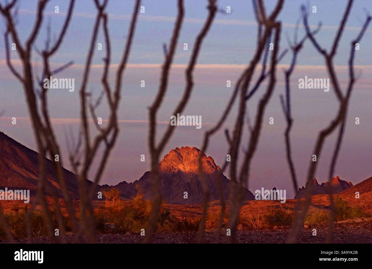 Glamis Gold Inc. Plant den Bau einer kilometerbreiten, Tagebau-Goldmine auf Bundesland, das sich zwei Meilen von der Indan Pass Wilderness Area in der Nähe von Yuma, AZ, entfernt befindet. The Sacramento Bee/ Anne Chadwick Williams 1/14/02/ZUMA Press Stockfoto