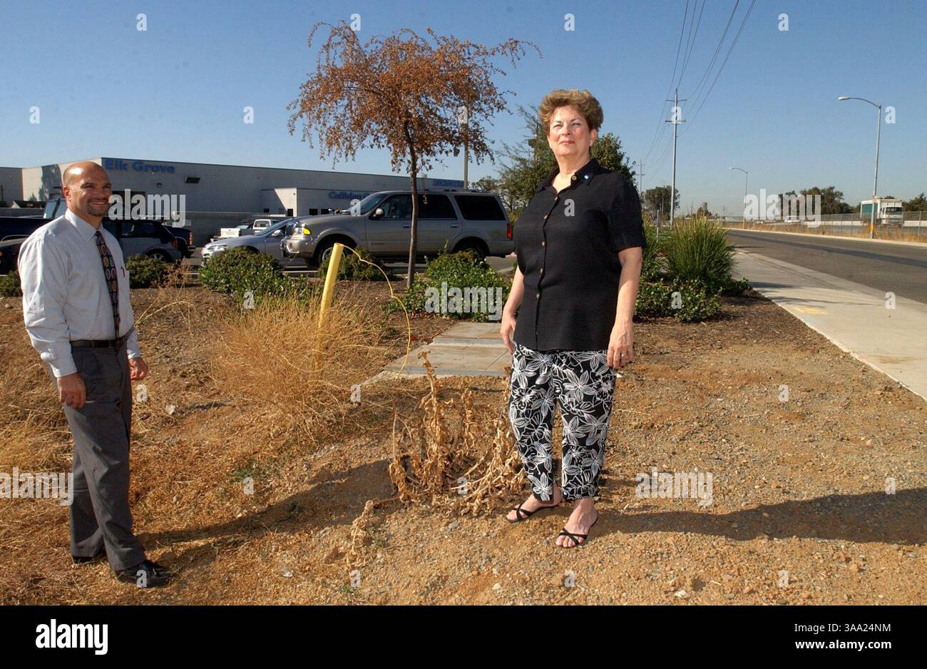 Terry Randazzo (VP Auto Mall Association) und Margaret Tadlock (Vors. Von EG Auto Mall Assoc Und GM von Elk Grove Honda). Der Verband schlägt vor, an der Ecke des Honda-Grundstücks ein 80 Meter großes Schild mit einer Million Dollar zu bauen. Das Bild zeigt Richtung Süden mit dem highway. 99 auf der rechten Seite. The Sacramento Bee Erhardt Krause 17. Oktober 2003 /ZUMA Press Stockfoto