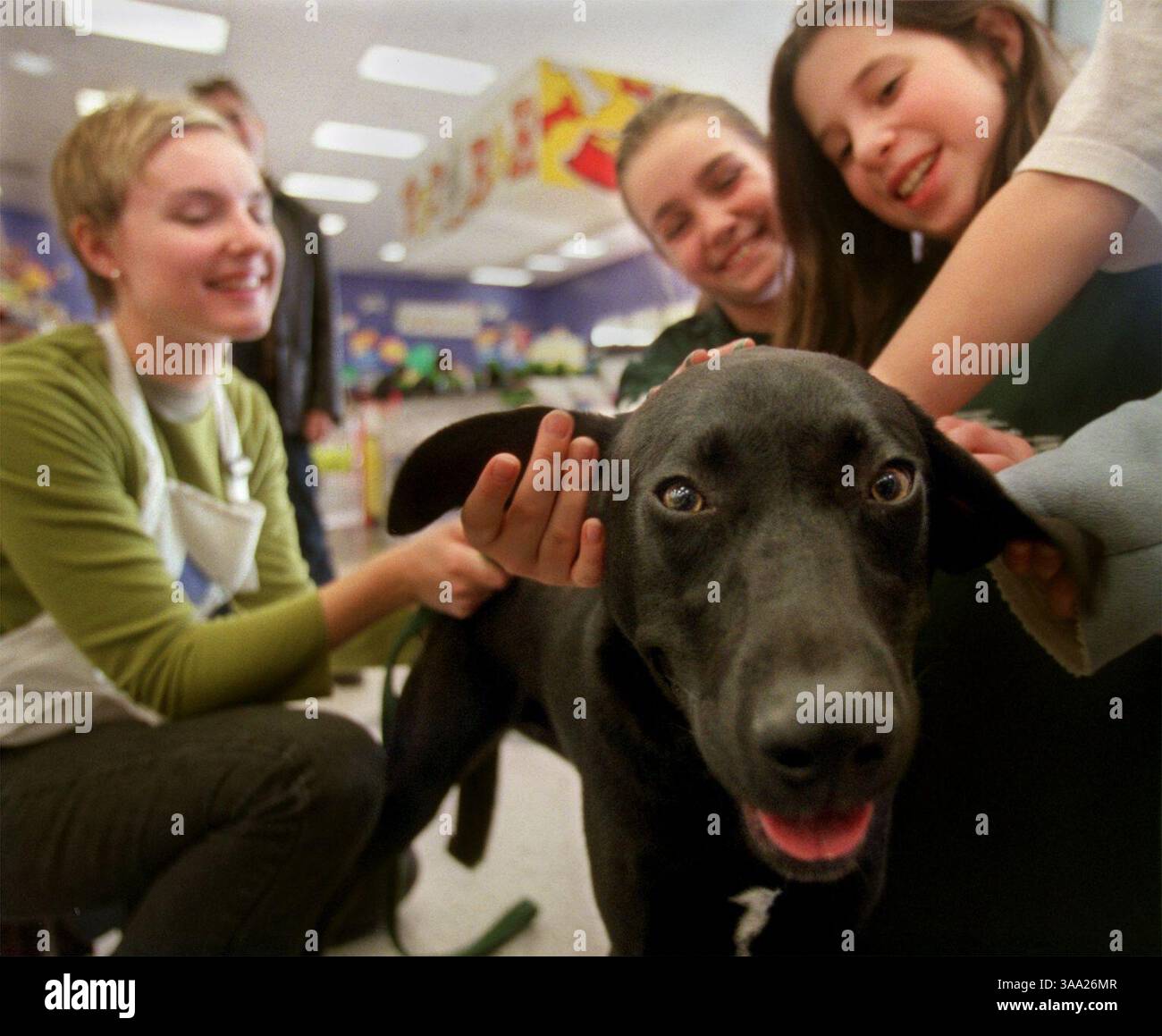Madison (cq), ein 12 Monate alter Black Labrador, bekommt viel Aufmerksamkeit von der REGENFREIWILLIGEN Marjorie Schreiver (cq, aus Greenhaven, links) und Petco-Kunden Jenny Gordon (cq, aus Elk Grove, Mitte), 10, und Lisa Seegmiller (cq, aus Elk Grove, rechts), 10, Petco am Laguna Boulevard, 4. Januar 2003. Die Rettung von bedürftigen Tieren (REGEN) hilft Katzen und Hunden, neue Häuser zu finden, indem sie sie zur Adoption in geeignete Heime bringen. Sacramento Bee/Florence Low/ZUMA Press Stockfoto