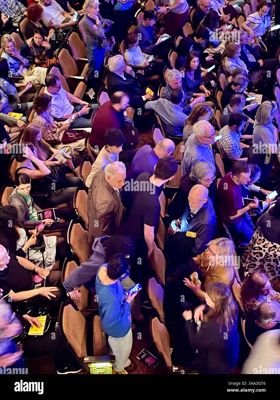 "Operation Hackfleisch" Publikum im John Golden Theatre am Times Square, New York City. USA 2025 - Smartphone-aufgenommenes Stockfoto