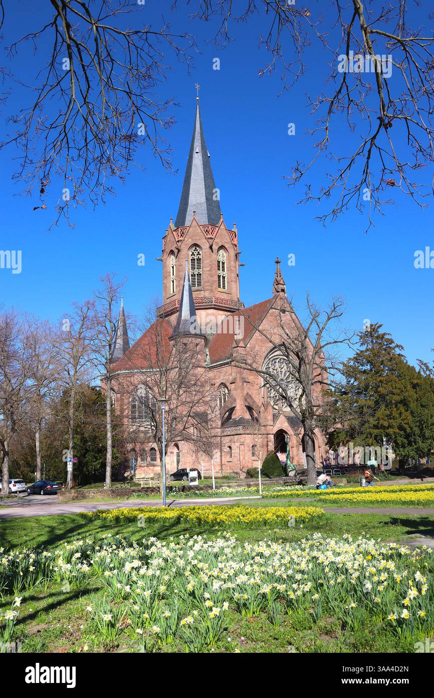 Christuskirche mit osterglockenfeldern davor in Karlsruhe Stockfoto
