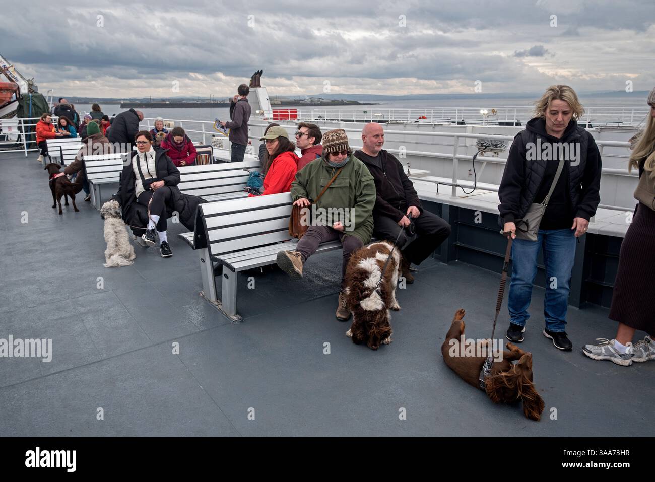 Dog Deck auf der MV Alfred Fähre zwischen Troon und Brodick auf der Isle of Arran, Schottland, Großbritannien. Stockfoto