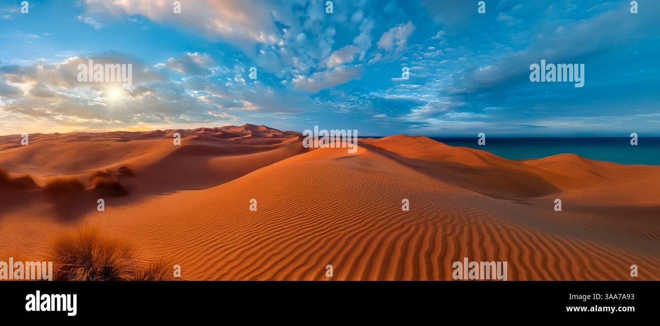 Morgensonnenlicht auf den Sanddünen in der Namib-Wüste an der Skeleton-Küste Namibias, Afrika. Stockfoto