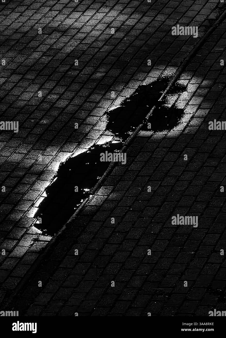 Reflexionen in der Nacht – Pfützen auf Gehsteig Stockfoto