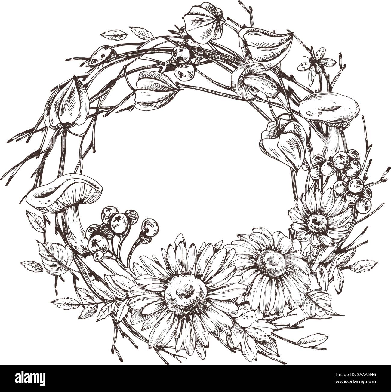 Herbstbeeren Physalis, Archaebeere, vogelblätter, Ahorn, Birke, Pilze, Rudbeckia-Blüten, Äste. Grafische Strichgrafik, handgezeichnet mit Schwarz Stock Vektor