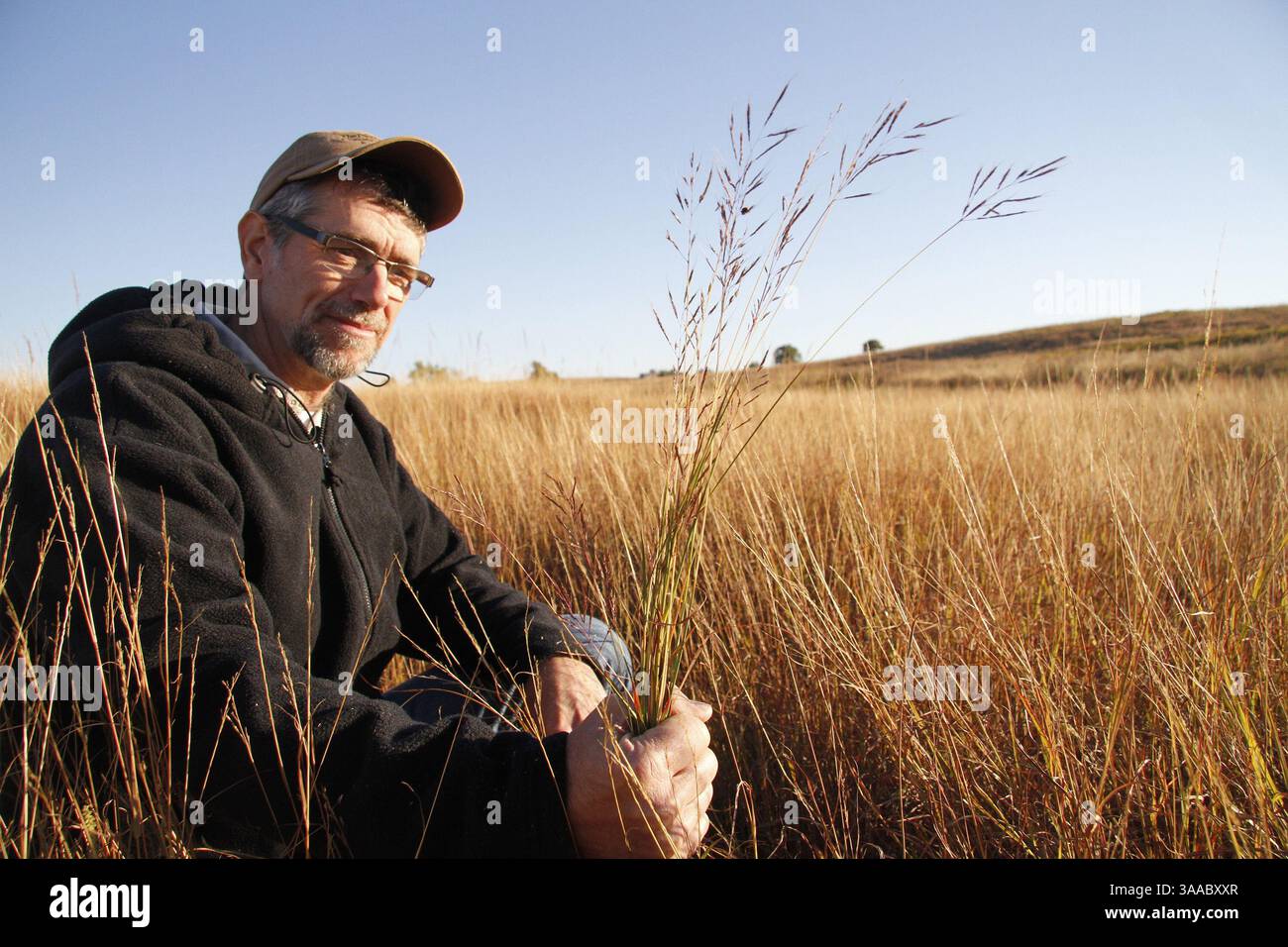 14. Oktober 2015 – KS, USA – Brian Obermeyer, Nature Conservancy of Kansas, überprüft die Samen einer Old World Bluestem Pflanze im Chase County, Kan. Die invasiven Arten setzen giftige Chemikalien in den Boden, die verhindern, dass andere Pflanzen wachsen. (Bild: © Michael Pearce/TNS via ZUMA Wire) Stockfoto