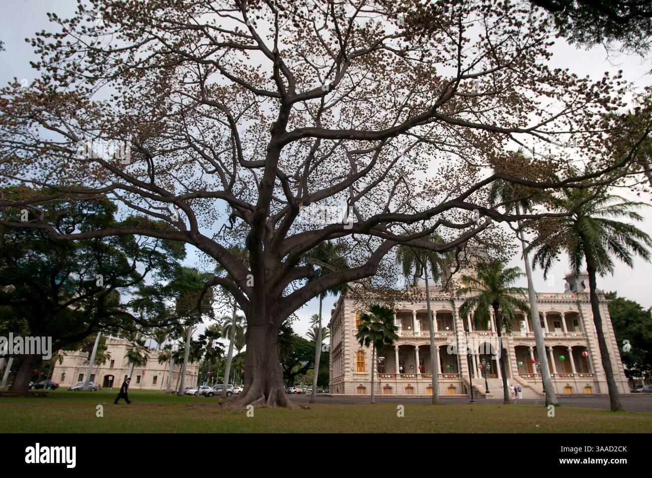 Januar 2015 - Hawaii, USA - der Iolani Palace in Honolulu, Oahu, Hawaii, USA. Iolani Palace, der einzige königliche Palast in den USA; Downtown Historic District, Honolulu, Oahu, Hawaii. Der Iolani-Palast war die königliche Residenz der Herrscher des Königreichs Hawaii, beginnend mit Kamehameha III. Unter der Kamehameha-Dynastie (1845) und endend mit Königin Liliiuokalani (1893) unter der Kalākaua-Dynastie, die von ihrem Bruder König David Kalākaua gegründet wurde. Es befindet sich im Hauptquartier der Innenstadt von Honolulu im US-Bundesstaat Hawaii. Es ist heute ein National Historic Landmark, das im National Regis aufgeführt ist Stockfoto