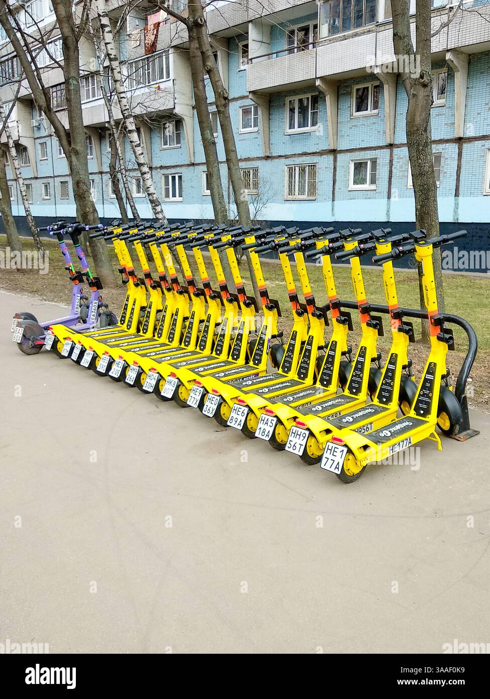 Moskau, Russland - 30. März 2025: Elektroroller mit individuellen Nummern werden auf einem Parkplatz geparkt. Persönliche Mobilitätsgeräte. Stockfoto