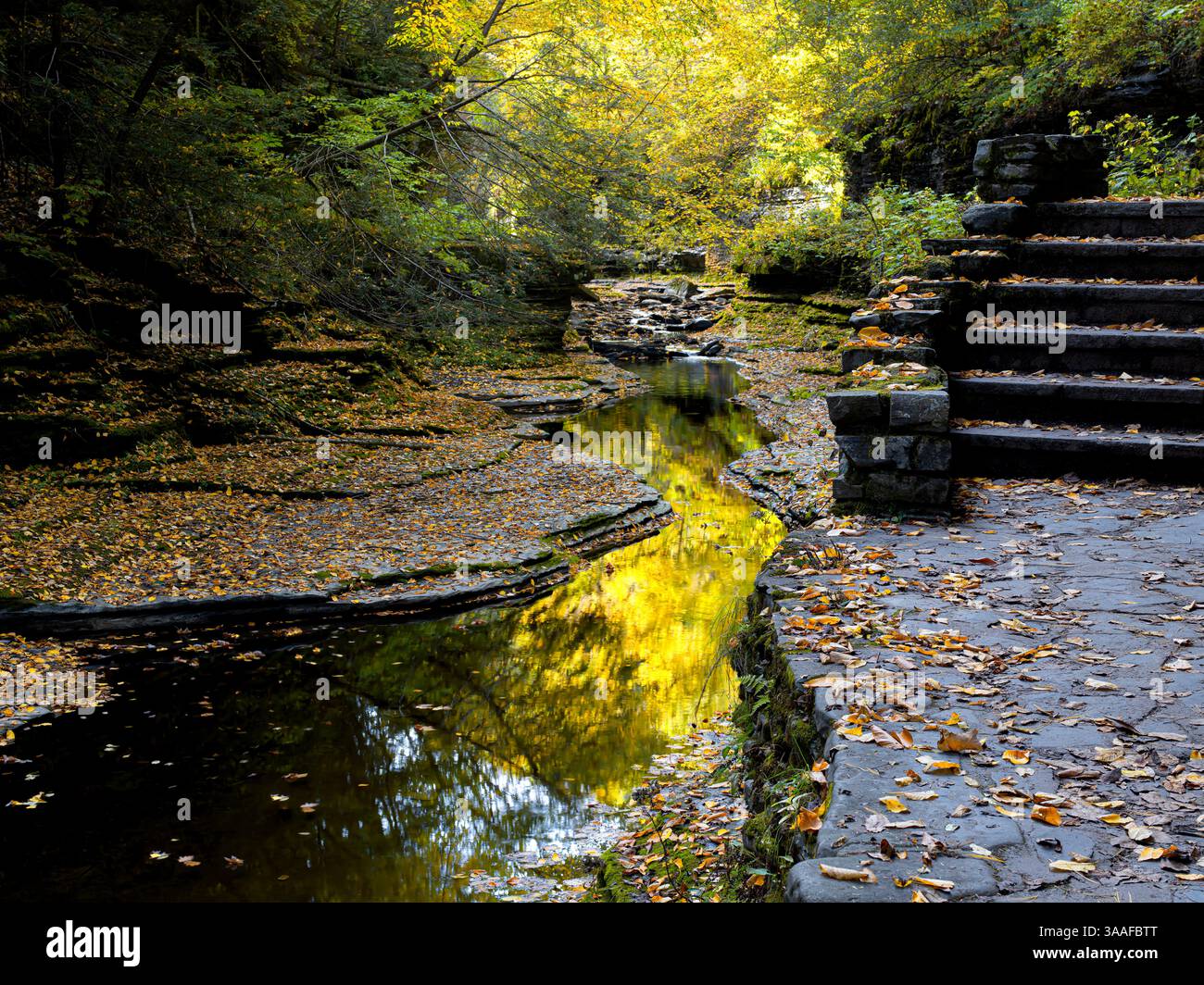Stirnkliff, Watkins Glen State Park, Finger Lakes, New York State, USA Stockfoto
