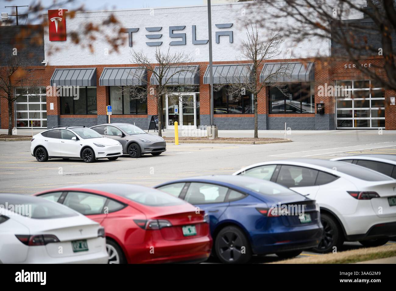 Demonstranten stehen an der Shelburne Road in South Burlington, VT, in der Nähe eines Tesla-Deslerschiffes, um gegen die Aktionen des Tesla-CEO Elon Musk zu protestieren. Stockfoto