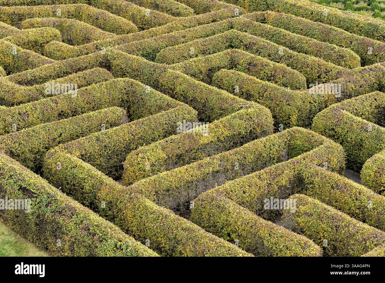 Labyrinth in einem botanischen Garten in Polen Stockfoto
