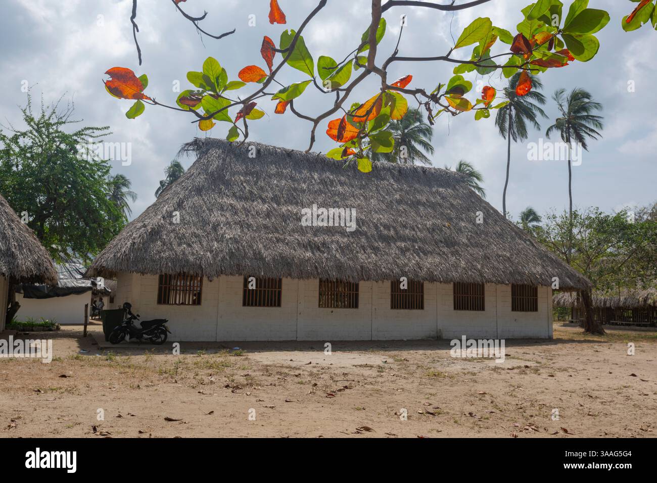 Typisches Reetdachhaus in der Arhuaco Indigenen Gemeinde Katanzama, Sierra Nevada de Santa Marta, Kolumbien Stockfoto