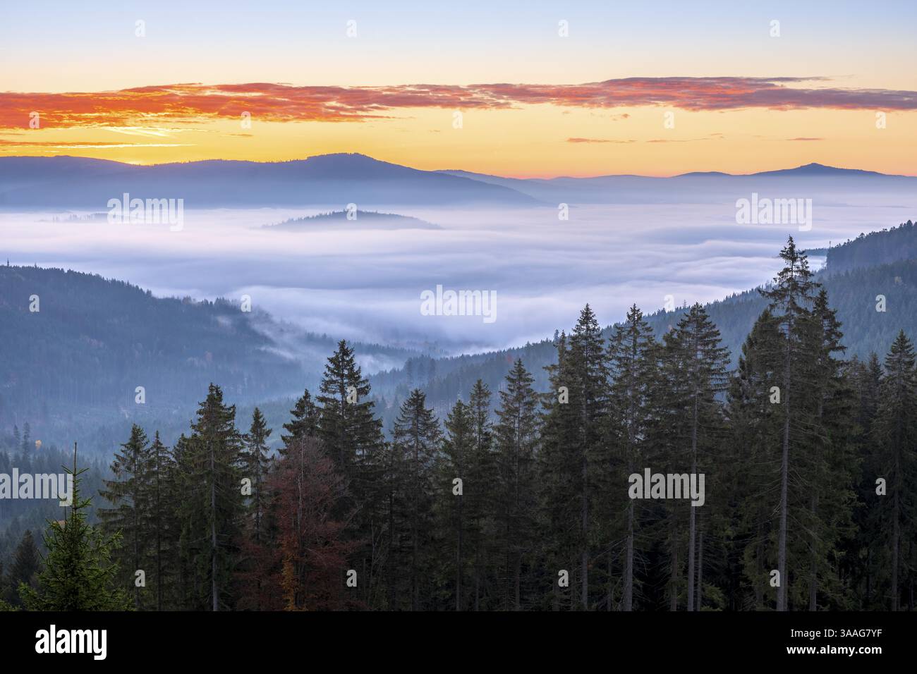 Sonnenaufgang auf dem Großen Arber, Blick über endlose Wälder mit Talnebel, Bayerischer Wald, Niederbayern, Bayern, Deutschland, Europa Stockfoto