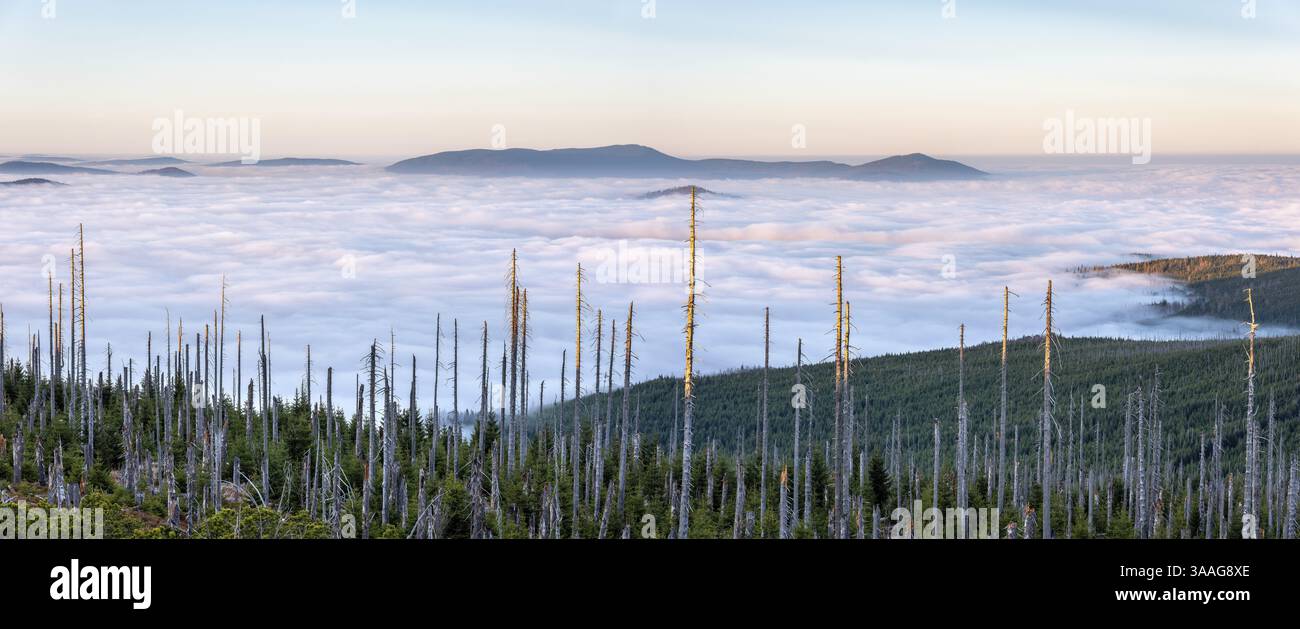 Blick vom bayerischen Ploeckenstein an der Grenze zur Tschechischen Republik über die endlosen Wälder des Böhmischen Waldes, Nebel in der Tiefebene, Meer von Stockfoto