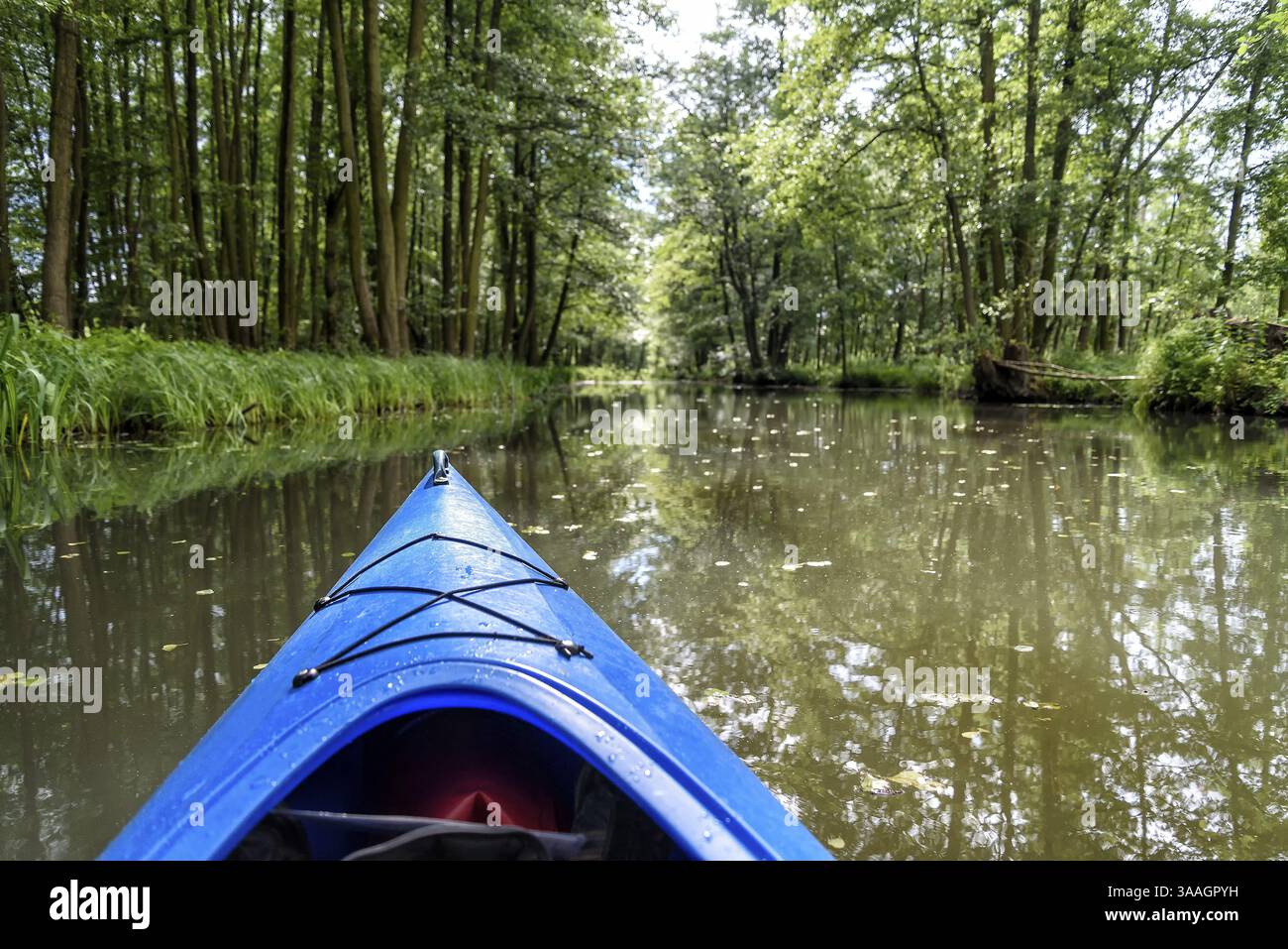 Kanufahren auf einem Fluss im Spreewald in Brandenburg, Deutschland, Europa Stockfoto