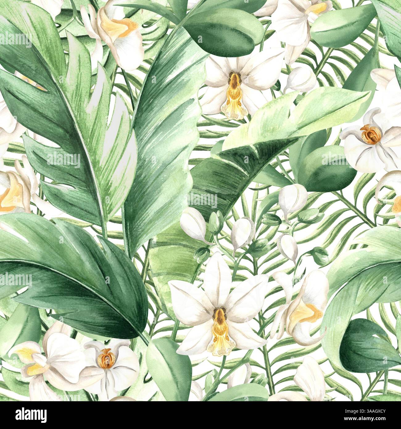 Tropische Blätter und weiße Orchideenblüten isolierte Illustration. Nahtloses botanisches Muster für Regenwald-Design. Handgezeichnete Monstera Stockfoto