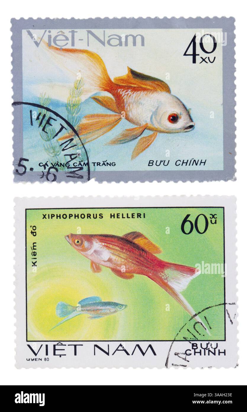 Briefmarke mit einem Bild des Fisches Stockfoto