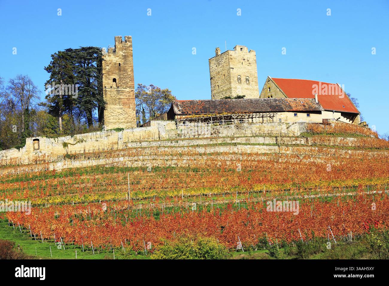Das Schloss Neipperg bei Heilbronn, Deutschland, Europa Stockfoto
