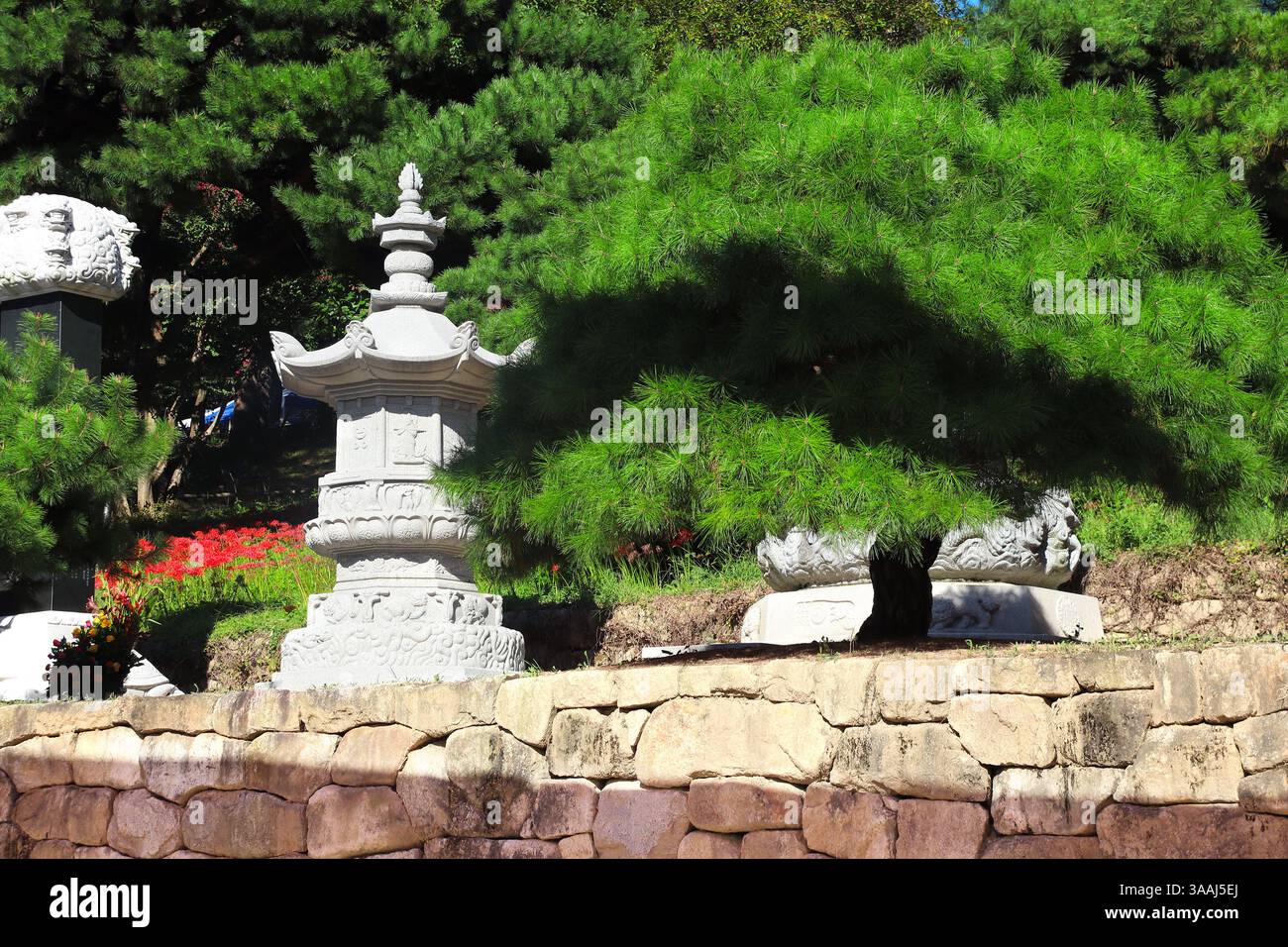 Alte Steinlaterne am Bongeunsa Tempel, Seoul, Südkorea. Malerische Szene mit alten Laternen und Kiefern, Bongeunsa Tempel während. Thema von TRA Stockfoto