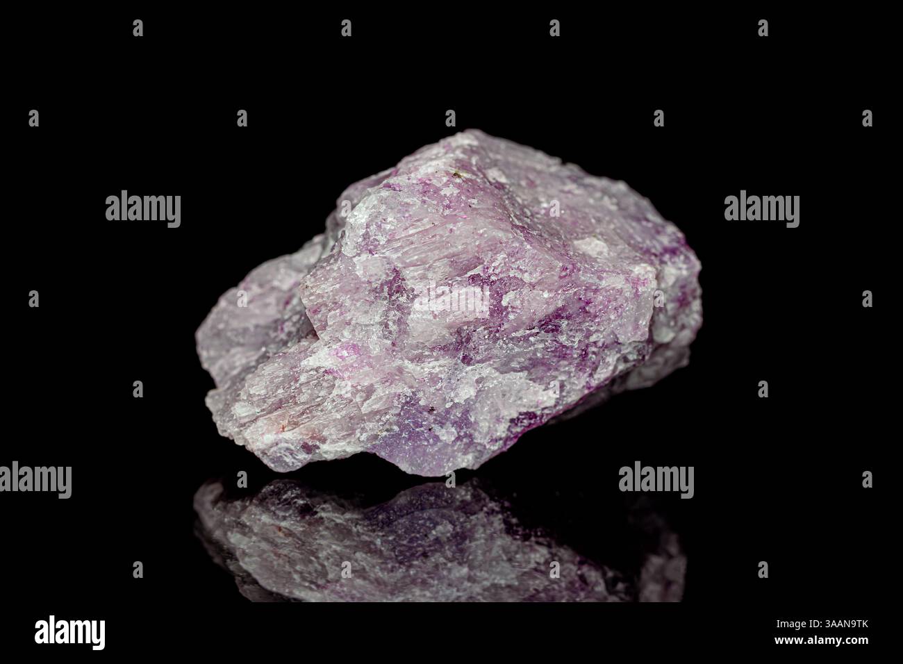 Natürlicher rauer Lepidolith-Edelstein auf dunklem Hintergrund. Lepidolit ist ein Phyllosilikat-Mineral, Quelle für Lithium und Rubidium Stockfoto