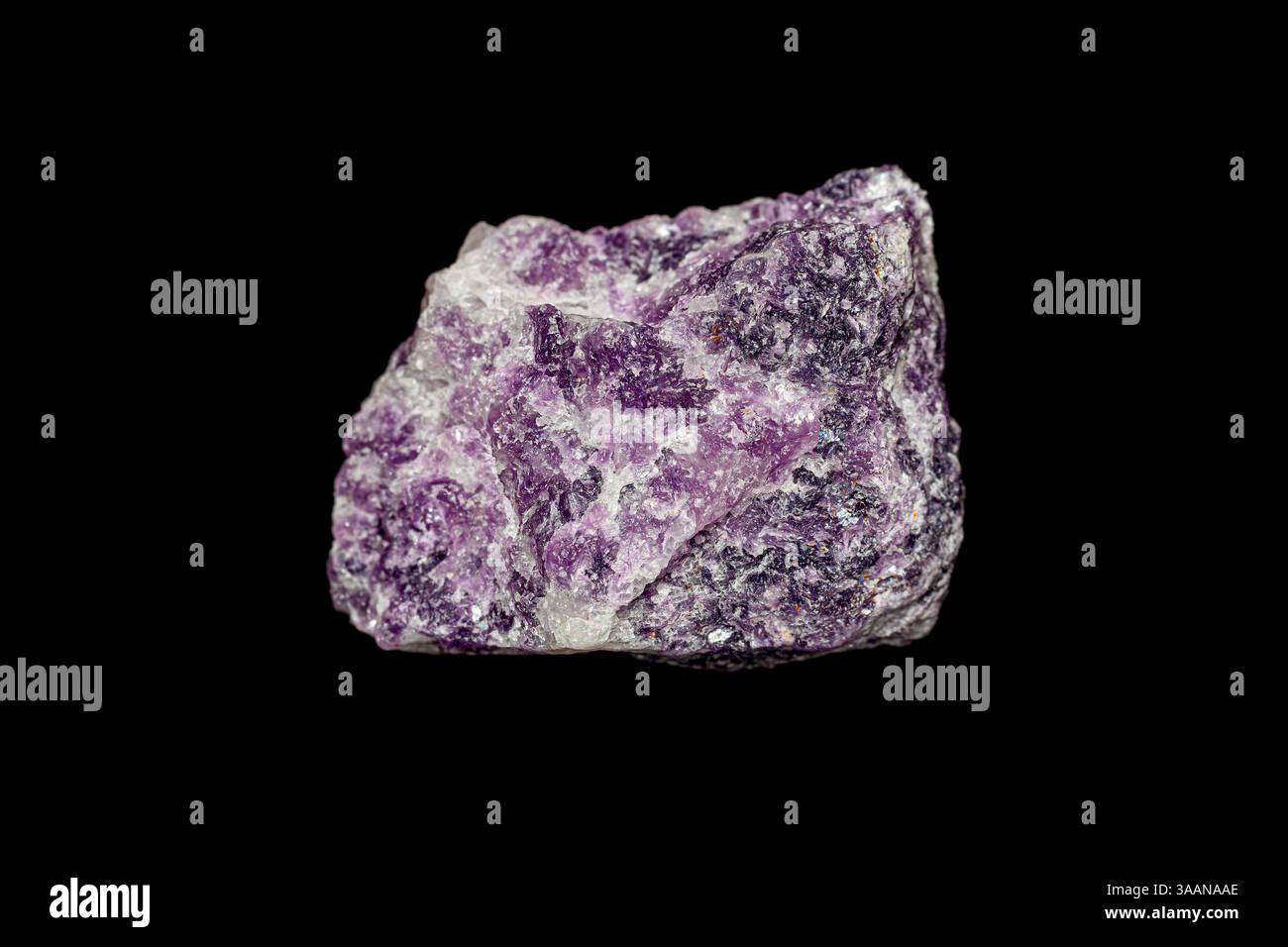 Natürlicher rauer Lepidolit auf dunklem Hintergrund. Lepidolit ist ein Phyllosilikat-Mineral, Quelle für Lithium und Rubidium Stockfoto