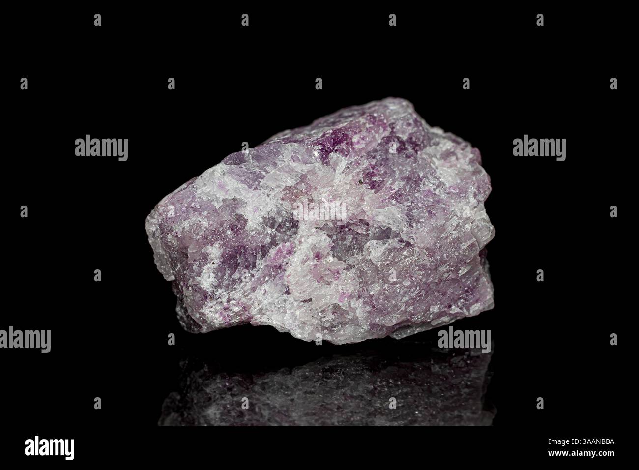 Natürliches Lepidolit-Kristallerz auf dunklem Hintergrund. Lepidolit ist ein Phyllosilikat-Mineral, Quelle für Lithium und Rubidium Stockfoto