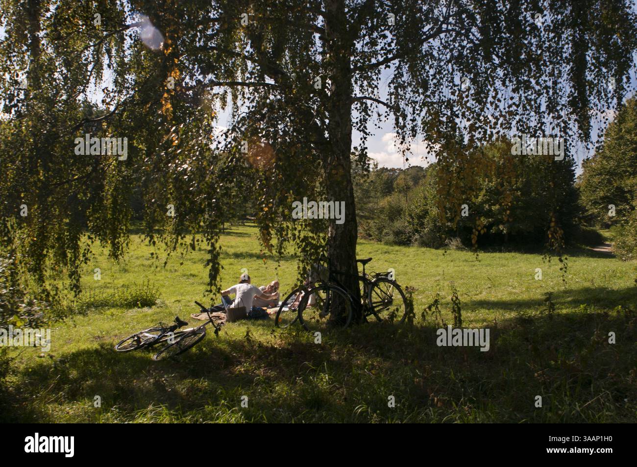22. September 2010 - Berlin, Berlin, Deutschland - Entspannen Sie im Schloss Charlottenburg Gärten, Berlin, Deutschland. Der Palastgarten mit einer Fläche von 33 Hektar ist ein wichtiges Denkmal der Gartenarchitektur. Das Gelände wurde ab 1697 nach Plänen von SimÃ Godeau, einem Schüler des berühmten französischen Landschaftsarchitekten AndrÃ Le Notre, angelegt. Er ist damit der früheste Garten Deutschlands, der vom Stil Le Notre beeinflusst wurde. Charakteristisch für den Barockgarten Charlottenburgs waren die Gassen, die sich vom Mittelhagel des Schlosses in Richtung Spandau, Tegel und NiederschÃ¶nhaus erstreckten Stockfoto