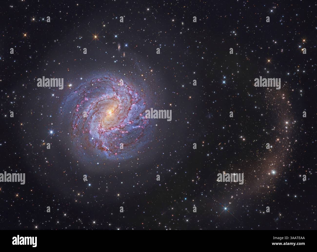 Messier 83 und seine nördlichen stellaren Gezeiten. Stockfoto