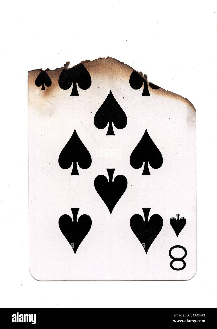 Eine teilweise verbrannte Spielkarte im Pik-Anzug auf weißem Hintergrund. Stockfoto