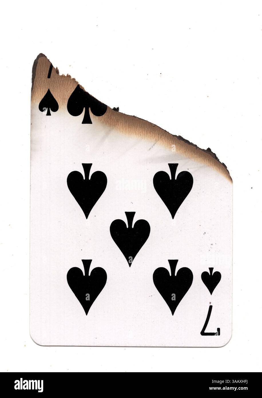 Eine teilweise verbrannte Spielkarte im Pik-Anzug auf weißem Hintergrund. Stockfoto