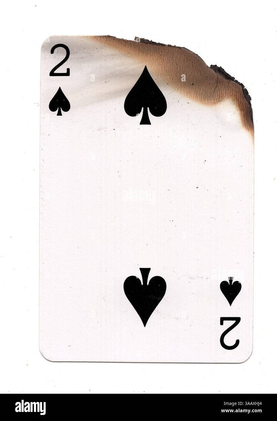 Eine teilweise verbrannte Spielkarte im Pik-Anzug auf weißem Hintergrund. Stockfoto
