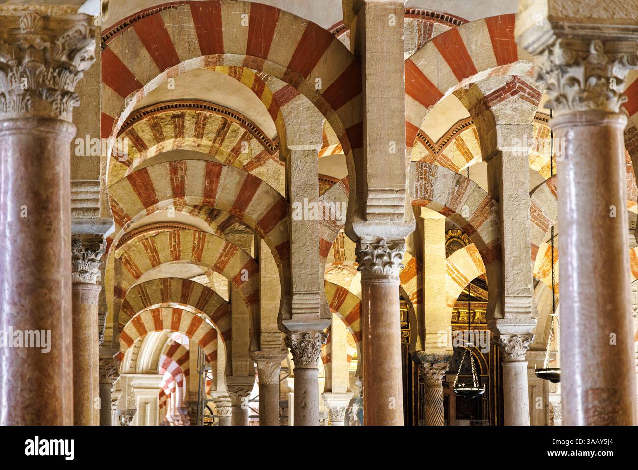 Spanien, Andalusien, Cordoba, historisches Zentrum von Cordoba, das von der UNESCO zum Weltkulturerbe erklärt wurde, die Mezquita-Kathedrale (Moschee-Kathedrale), die Kolonnade des Gebetssaals Stockfoto