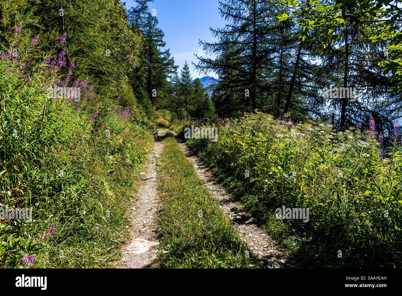 Frankreich, Savoie, Maurienne-Tal, Montricher-Albanne, Bahnhof Karellis, Wanderweg am Bahnhof Karellis Stockfoto