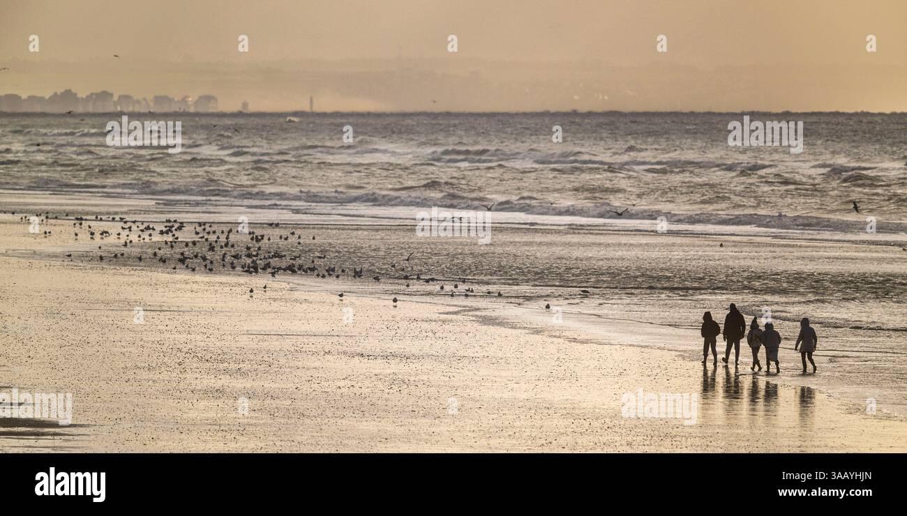 Frankreich, Somme, Baie de Somme, Quend-Plage, der Strand und die Dünen zwischen Quend-Plage und Baie de Somme, Blitz unter einem schweren Himmel Stockfoto
