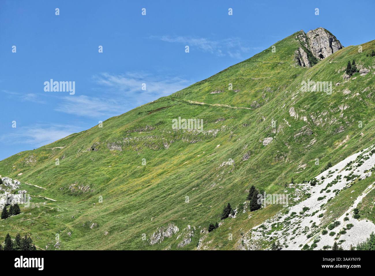 Frankreich, Haute Savoie, Samance, die Grüne Nadel Stockfoto