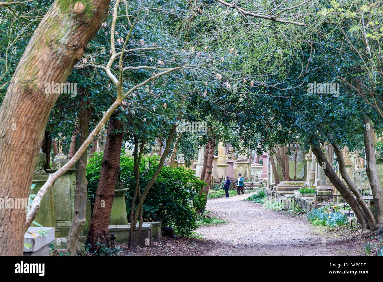 Highgate West Cemetery vom North Gate aus gesehen in Swains Lane, Highgate, London, Großbritannien Stockfoto
