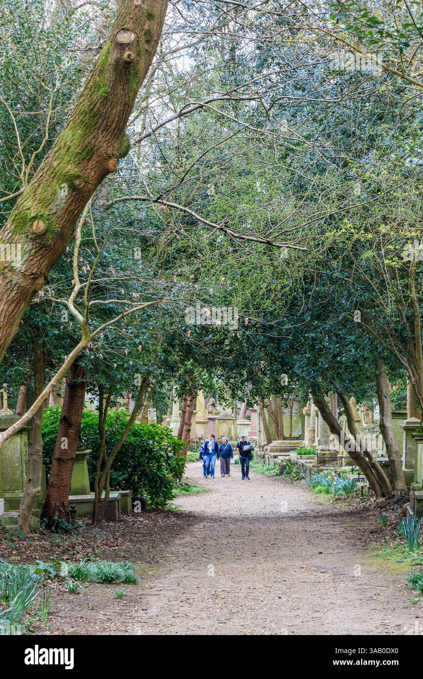 Highgate West Cemetery vom North Gate aus gesehen in Swains Lane, Highgate, London, Großbritannien Stockfoto