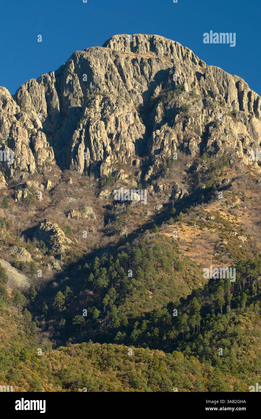 Santa Rita Mountains vom Madera Canyon, Coronado National Forest, Arizona Stockfoto