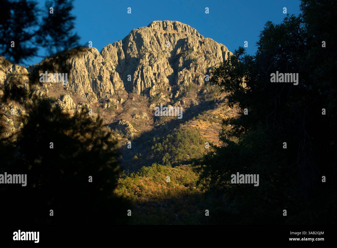 Santa Rita Mountains vom Madera Canyon, Coronado National Forest, Arizona Stockfoto